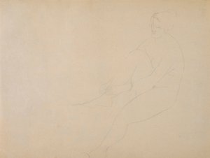 Desnudo